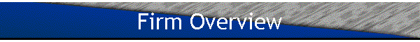 Firm Overview